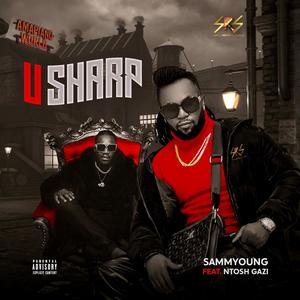 U Sharp(feat. Ntosh Gazi)