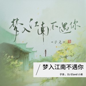 梦入江南不遇你 (Remix|DJEland小弟 remix)