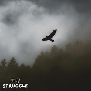 Fly Struggle (feat. Supreme Allah Magnetic) [Radio Edit]