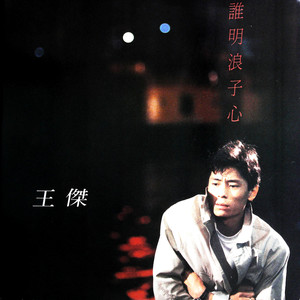 风风雨雨 (黑胶版)封面