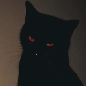 M-69 (Explicit)