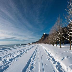 我约了个人在海边飘雪的时候去看海
