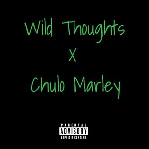 Wild Thoughts (Explicit)