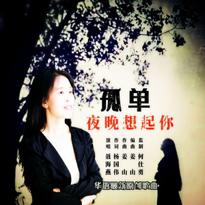 孤单夜晚想起你