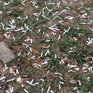 martyred by song (Explicit)