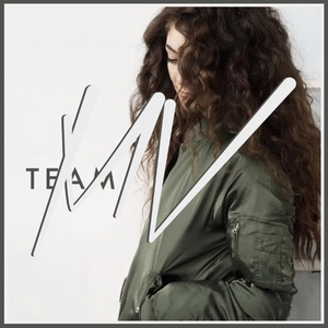 Team (Mickey Valen Remix)