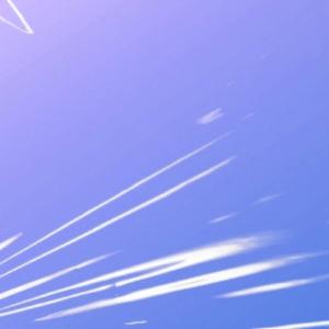 PERSONAL STRIPPER (Explicit)