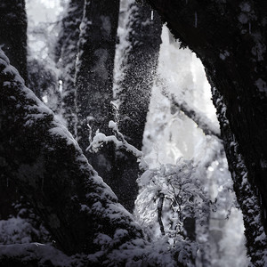 Осуждение (Explicit)