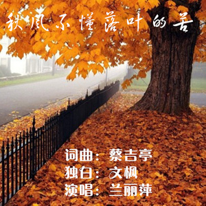 秋风不懂落叶的苦