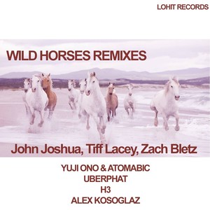 Wild Horses (Alex Kosoglaz Remix)