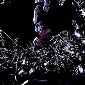 noir dehors, noir dedans (Explicit)