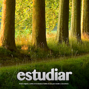 Estudiar: Música relajante y sonidos de la naturaleza Sonidos de aves para estudiar y concentrarse