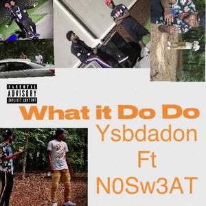 What it do do (feat. N0Sw3at) [Explicit]