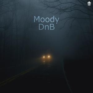 Moody DnB