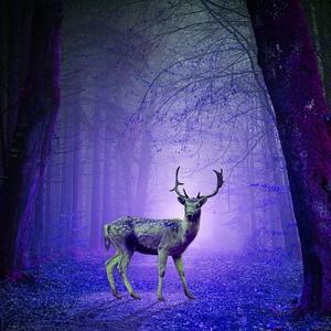 Enough (Bandlab demo)