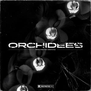 Orchidees (Explicit)