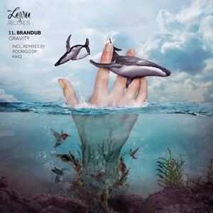 Gravity (Kaiq Remix)