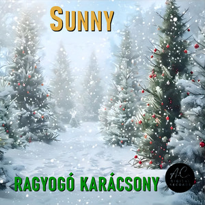Ragyogó Karácsony (ItaloBear Rmx)