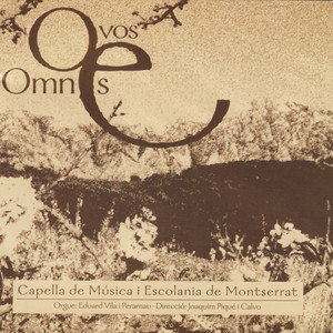 O Vos Omnes