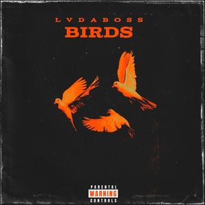 Birds (feat. JKUTZ) (Explicit)