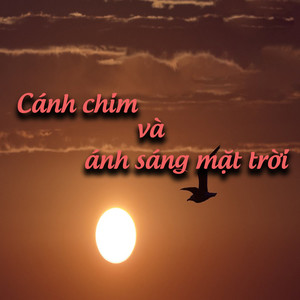 Cánh chim và ánh sáng mặt trời