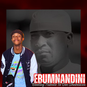 Ebumnandini (Bootleg Tribute to Doc Shebeleza)