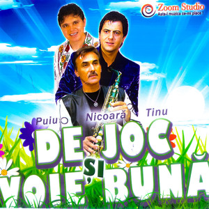 De joc și voie bună