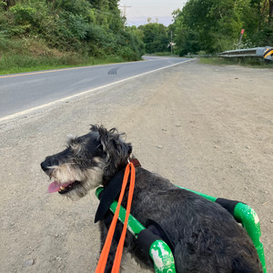 planned obsolescence (Remix)