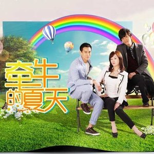 全世界宣布爱你封面
