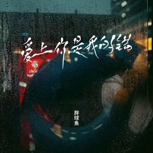 爱上你是我的错封面