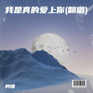 我是真的爱上你