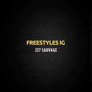 Freestyles IG (Explicit)