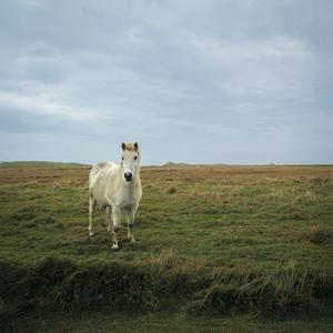 dove ti nascondi ???