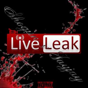 liveleak.wav (feat. JJ Youngan) [Explicit]