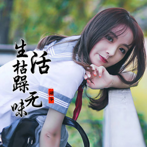 高端车载慢摇 (弹鼓版)