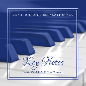 Key Notes Vol. 2