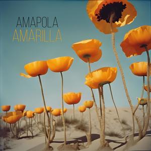 Amapola