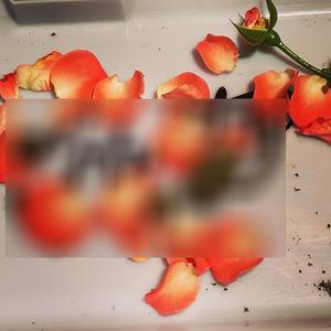 Rose Pedals (Explicit)