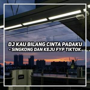 DJ SINGKONG DAN KEJU - KAU BILANG CINTA PADAKU AKU BILANG PIKIR DULU (Explicit)