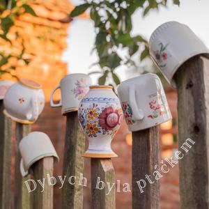 Cimbálová muzika Širúch - Dybych byla ptáčkem (with Lucie Gajdová, Nela Gajdová, Lenka Gajdová & Jan Gajda)