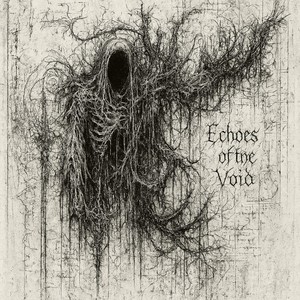 Echoes of the void