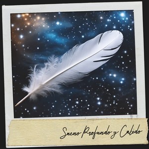 Cat Music Experience - Paz en el Corazón