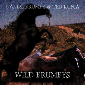 Wild Brumbys