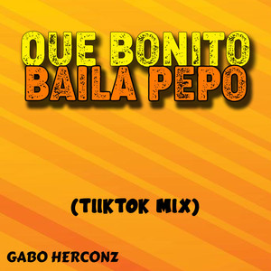 QUE BONITO BAILA PEPO (TIIKTOK MIX)