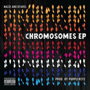 Chromosomes - EP (Explicit)