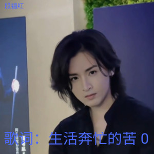 歌词：生活奔忙的苦 0-段福红