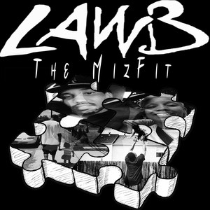 The Mizfit