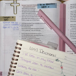 Lani's Devotional (feat. Jaylanie)