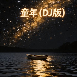 童年 (DJ节奏版)