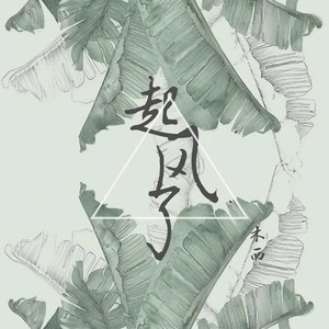 起风了封面